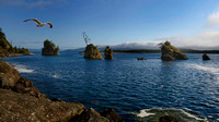 Oregon Coast - 2013